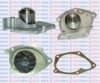 AQUAPLUS 85-7625 Water Pump